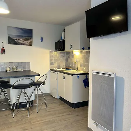 Appartement Deux Pièces Avec Terrasse, Cour Privée Et Piscine - - Fr-1-250-264 Le Grau-du-Roi