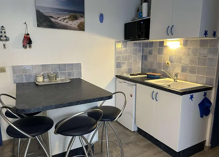 Deux Pieces Avec Terrasse, Cour Privee Et Piscine - - Fr-1-250-264