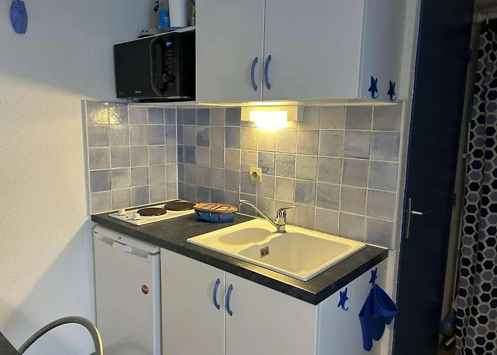 Deux Pieces Avec Terrasse, Cour Privee Et Piscine - - Fr-1-250-264